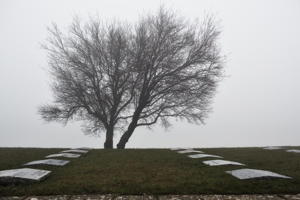 La natura e la memoria del cimitero militare germanico del Passo della Futa 