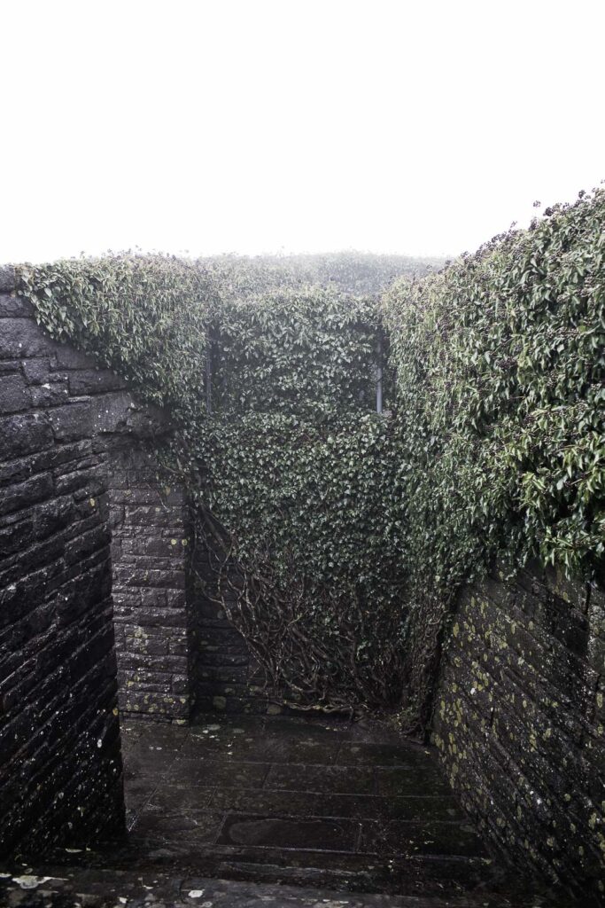 L'accesso alla cripta del cimitero militare germanico del Passo della Futa 